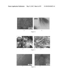 SYSTEMS AND METHODS EMPLOYING LOW MOLECULAR WEIGHT GELATORS FOR CRUDE OIL,     PETROLEUM PRODUCT OR CHEMICAL SPILL CONTAINMENT AND REMEDIATION diagram and image