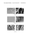 SYSTEMS AND METHODS EMPLOYING LOW MOLECULAR WEIGHT GELATORS FOR CRUDE OIL,     PETROLEUM PRODUCT OR CHEMICAL SPILL CONTAINMENT AND REMEDIATION diagram and image