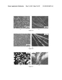 SYSTEMS AND METHODS EMPLOYING LOW MOLECULAR WEIGHT GELATORS FOR CRUDE OIL,     PETROLEUM PRODUCT OR CHEMICAL SPILL CONTAINMENT AND REMEDIATION diagram and image