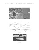 SYSTEMS AND METHODS EMPLOYING LOW MOLECULAR WEIGHT GELATORS FOR CRUDE OIL,     PETROLEUM PRODUCT OR CHEMICAL SPILL CONTAINMENT AND REMEDIATION diagram and image