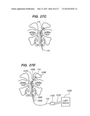 Endoscopic Methods and Devices for Transnasal Procedures diagram and image