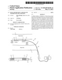 RENAL DENERVATION CATHETER AND METHOD USING pH ALTERATION diagram and image