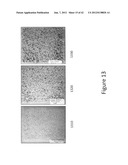 System and method for detecting and visualizing ignitable liquid residues     using hyperspectral imaging diagram and image