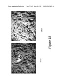 System and method for detecting and visualizing ignitable liquid residues     using hyperspectral imaging diagram and image