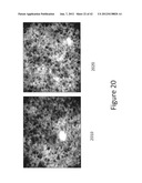 System and method for detecting and visualizing ignitable liquid residues     using hyperspectral imaging diagram and image