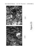 System and method for detecting and visualizing ignitable liquid residues     using hyperspectral imaging diagram and image