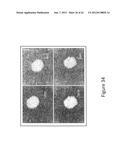 System and method for detecting and visualizing ignitable liquid residues     using hyperspectral imaging diagram and image