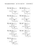 SURFACE ACOUSTIC WAVE RESONATOR, SURFACE ACOUSTIC WAVE OSCILLATOR, AND     ELECTRONIC APPARATUS diagram and image