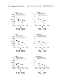 SURFACE ACOUSTIC WAVE RESONATOR, SURFACE ACOUSTIC WAVE OSCILLATOR, AND     ELECTRONIC APPARATUS diagram and image