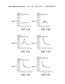 SURFACE ACOUSTIC WAVE RESONATOR, SURFACE ACOUSTIC WAVE OSCILLATOR, AND     ELECTRONIC APPARATUS diagram and image