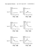 SURFACE ACOUSTIC WAVE RESONATOR, SURFACE ACOUSTIC WAVE OSCILLATOR, AND     ELECTRONIC APPARATUS diagram and image