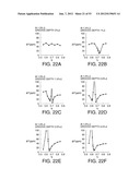 SURFACE ACOUSTIC WAVE RESONATOR, SURFACE ACOUSTIC WAVE OSCILLATOR, AND     ELECTRONIC APPARATUS diagram and image