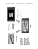 Server-Assisted Video Conversation diagram and image