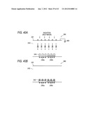 RADIOGRAPHIC APPARATUS AND RADIOGRAPHIC SYSTEM diagram and image