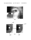 SYSTEM AND METHOD FOR NON-COOPERATIVE IRIS RECOGNITION diagram and image