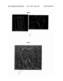 Tools for automatic colonic centerline extraction diagram and image