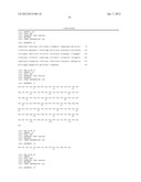 BINDING MEMBER FOR GM-CSF RECEPTOR diagram and image