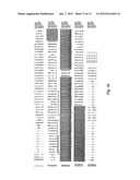 CRIPTO ANTAGONISM OF ACTIVIN AND TGF-B SIGNALING diagram and image