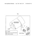 Methods of Inhibiting Metastasis from Cancer diagram and image