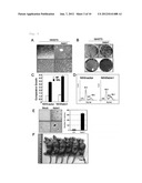 NOVEL G PROTEIN COUPLED RECEPTOR PROTEIN AND USE THEREOF diagram and image