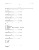 Antibodies Against Human Angiopoietin 2 diagram and image