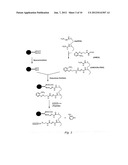 TARGETING OF GLYCOPROTEIN THERAPEUTICS diagram and image