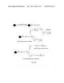 TARGETING OF GLYCOPROTEIN THERAPEUTICS diagram and image