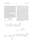 MONOMETHYLVALINE COMPOUNDS CAPABLE OF CONJUGATION TO LIGANDS diagram and image