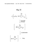 MONOMETHYLVALINE COMPOUNDS CAPABLE OF CONJUGATION TO LIGANDS diagram and image