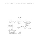 MONOMETHYLVALINE COMPOUNDS CAPABLE OF CONJUGATION TO LIGANDS diagram and image