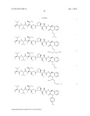 MONOMETHYLVALINE COMPOUNDS CAPABLE OF CONJUGATION TO LIGANDS diagram and image