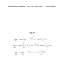 MONOMETHYLVALINE COMPOUNDS CAPABLE OF CONJUGATION TO LIGANDS diagram and image