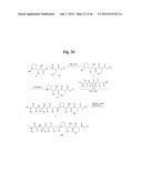 MONOMETHYLVALINE COMPOUNDS CAPABLE OF CONJUGATION TO LIGANDS diagram and image