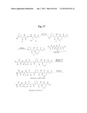 MONOMETHYLVALINE COMPOUNDS CAPABLE OF CONJUGATION TO LIGANDS diagram and image