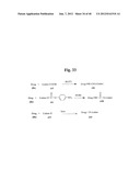 MONOMETHYLVALINE COMPOUNDS CAPABLE OF CONJUGATION TO LIGANDS diagram and image