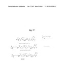 MONOMETHYLVALINE COMPOUNDS CAPABLE OF CONJUGATION TO LIGANDS diagram and image