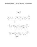 MONOMETHYLVALINE COMPOUNDS CAPABLE OF CONJUGATION TO LIGANDS diagram and image