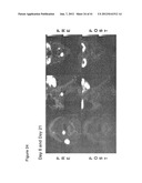 METHOD OF INCREASING IMMUNOLOGICAL EFFECT diagram and image