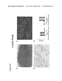 METHOD OF INCREASING IMMUNOLOGICAL EFFECT diagram and image