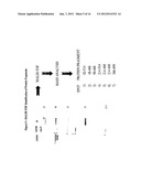 Immunogenic Compositions for Streptococcus agalactiae diagram and image