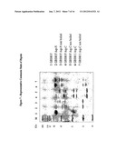Immunogenic Compositions for Streptococcus agalactiae diagram and image