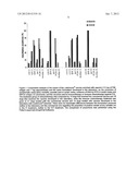 PROCESS AND COMPOSITION FOR TREATMENT OF CANINE AND HUMAN LEISHMANIASIS diagram and image