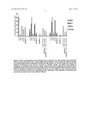 PROCESS AND COMPOSITION FOR TREATMENT OF CANINE AND HUMAN LEISHMANIASIS diagram and image