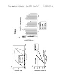 MODULATORS OF THE CX3CRI RECEPTOR AND THERAPEUTIC USES THEREOF diagram and image