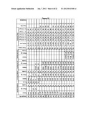 NOVEL FORMULATION OF MELOXICAM diagram and image