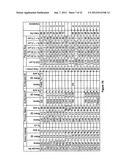 NOVEL FORMULATION OF MELOXICAM diagram and image