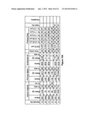 NOVEL FORMULATION OF MELOXICAM diagram and image