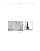 SYSTEM AND METHOD FOR DELIVERY OF DNA-BINDING CHEMOTHERAPY DRUGS USING     NANOPARTICLES diagram and image