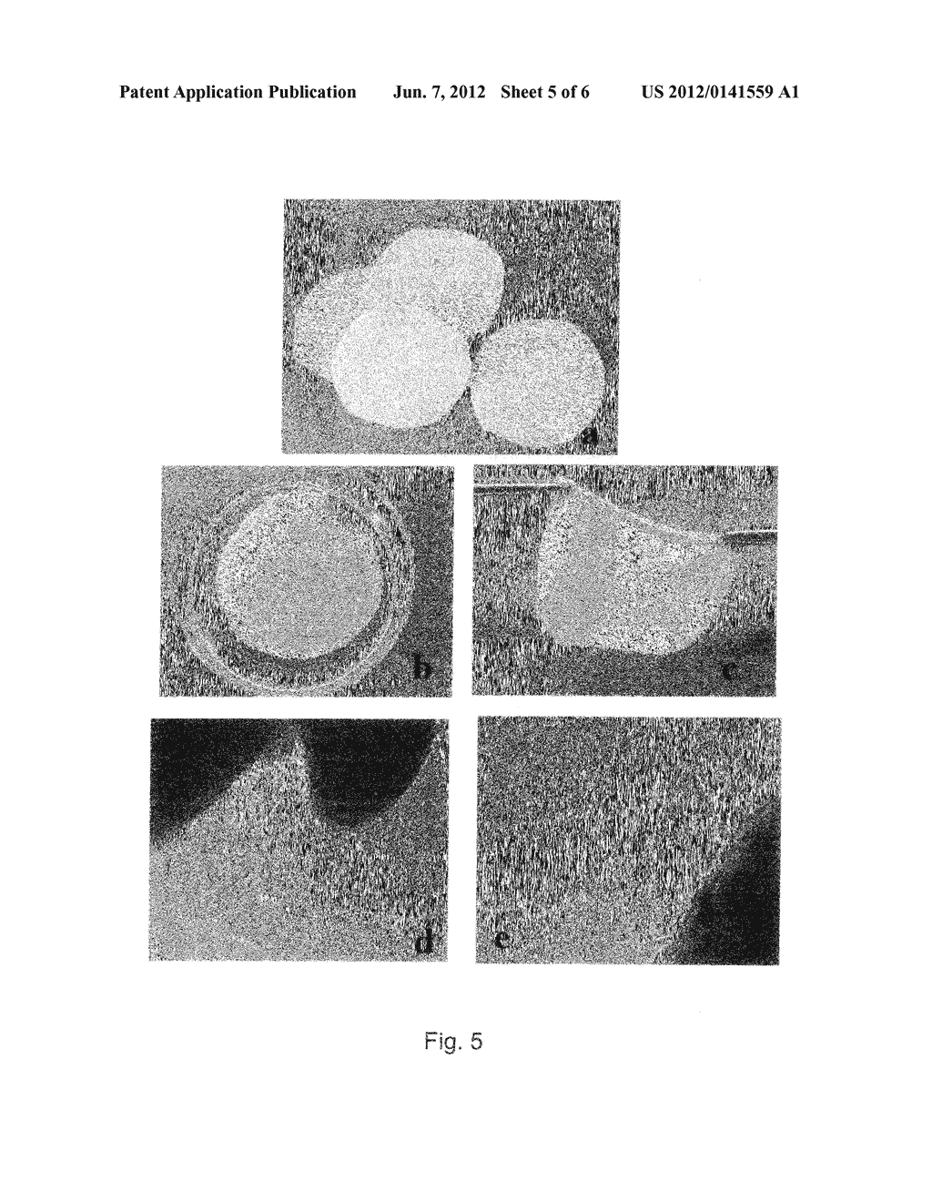 BIO-MEMBRANE FOR TISSUE REGENERATION - diagram, schematic, and image 06