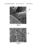 Wipe Coated with a Botanical Composition having Antimicrobial Properties diagram and image